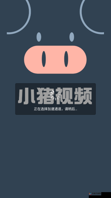 小猪视频 APP 罗志祥入口导航：精彩内容等你看