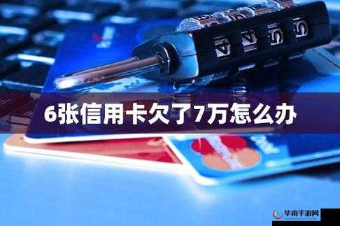 国产卡 5 卡 6 卡 7 卡 2024 入口人气高涨原因分析