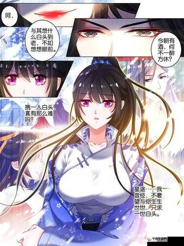 丑女的后宫法则之逆袭传奇