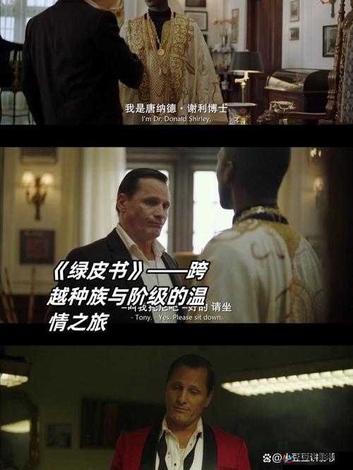 1000 部拍拍视频 18 勿入国产：一段精彩的旅程