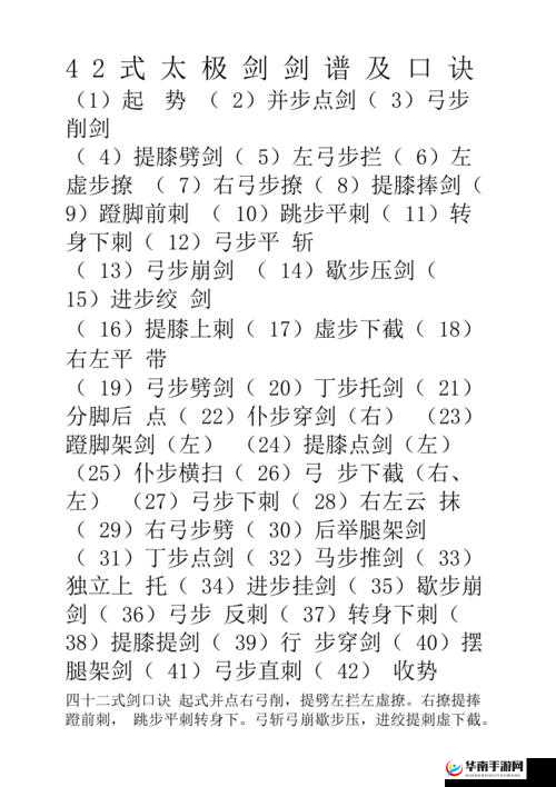 大掌门丙级武功太极剑法图鉴详解