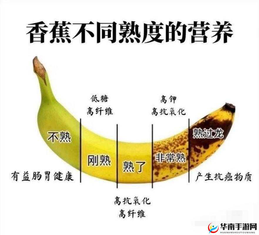 香蕉十八度和二十三度的区别：温度影响大不同