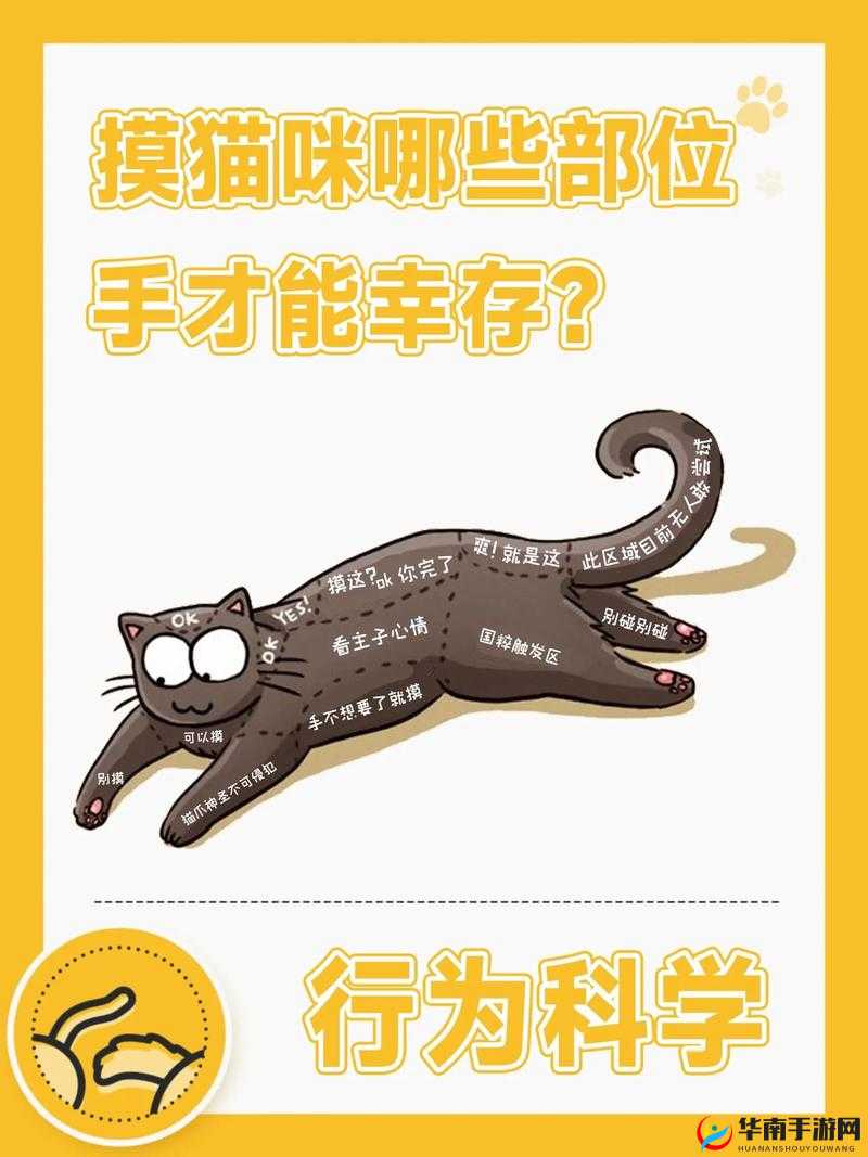 《通神榜猫杀手1解锁指南》