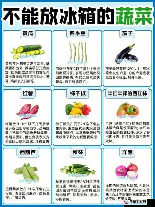 丝瓜秋葵草莓香蕉榴莲芒果大全全品类大赏