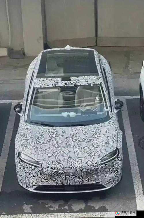 x7x7x7 任意噪水：独特的存在