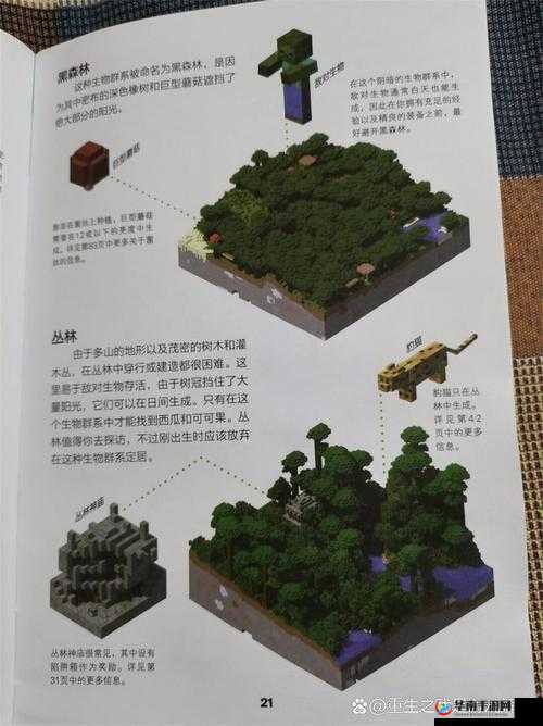 我的世界：探索村庄的秘诀