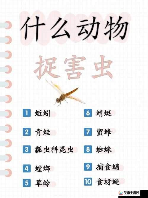 《超级英雄》暗夜侠控制伙伴使用攻略