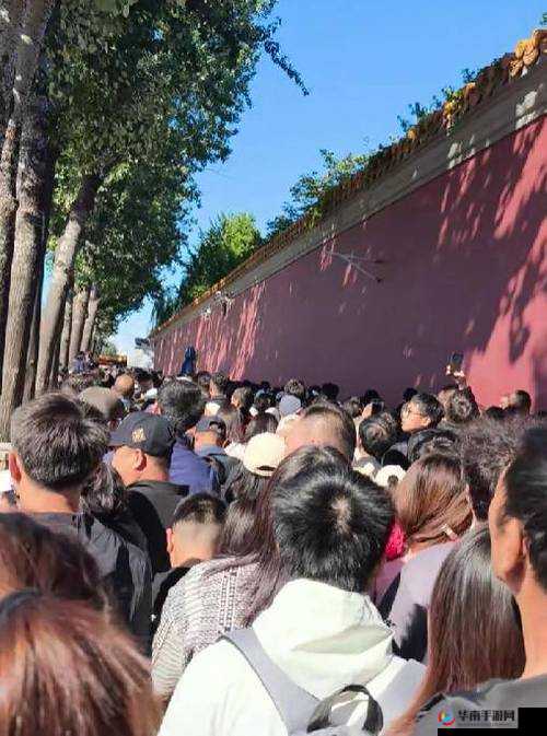 233 人人操：独特的运动体验