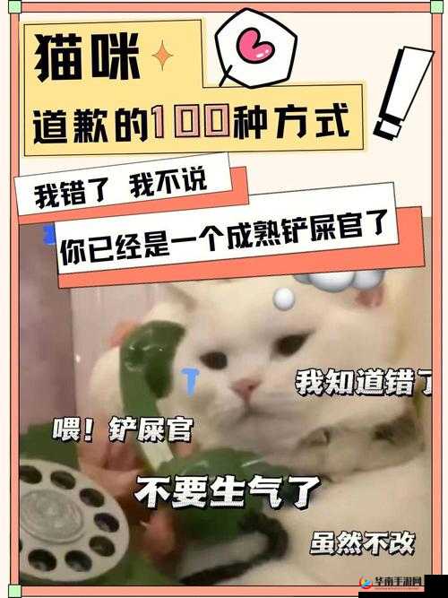 主人我错了能不能关掉开关忘羡：真心求原谅