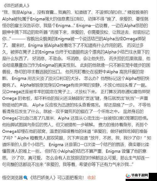 3 个 Enigma 标记 omega 的小说：神秘之旅