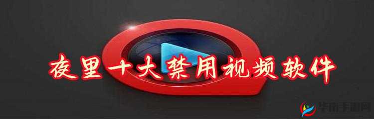 LSP 夜里十大禁用软件：保护个人隐私，拒绝不良信息