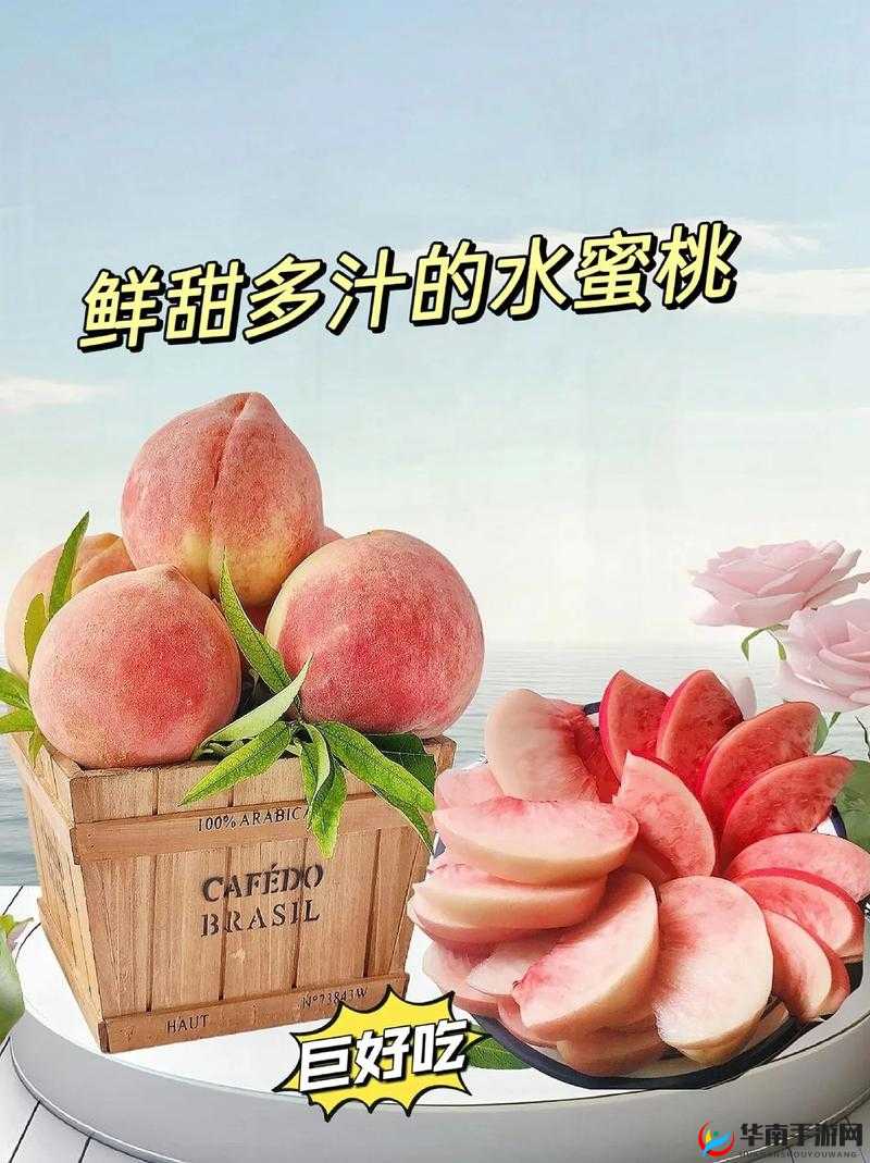 水蜜桃一三四专区：甜蜜诱惑新领地