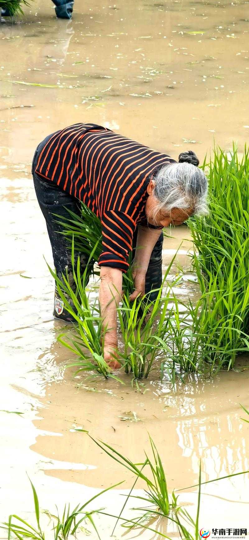 男友说想插秧了该如何回复呢