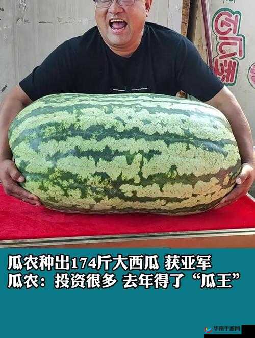 51 每日必吃大瓜热门 top1：今日最火大瓜