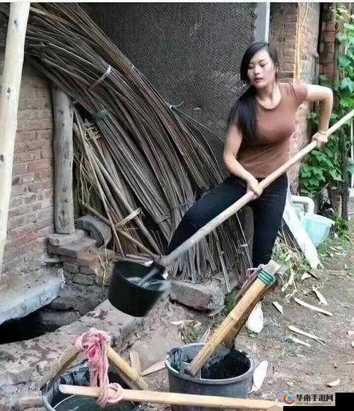 儿媳李茹老王儿：家中的故事