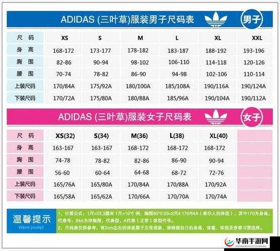 三叶草 M 码与欧洲码的详细区别解析：全面深入剖析对比