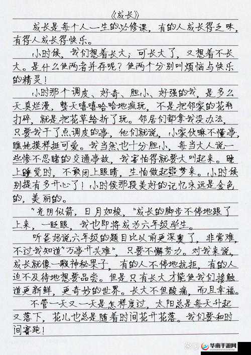 年轻的儿媳：面对家庭琐事与成长的挑战和抉择