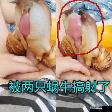 51 吃瓜爆料黑料官网：呈现不为人知的秘密