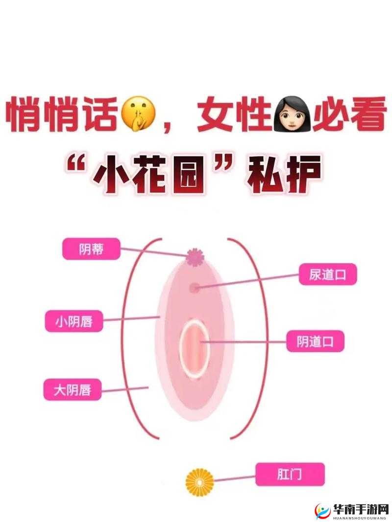 如何欺负女生的小花园和大白兔：从身体到心理的全方位攻略