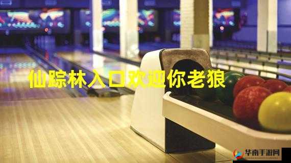 仙踪林老狼网站欢迎您拍照：探寻神秘的自然之美