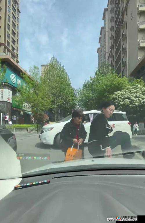 车内疯狂索要场景令人咋舌引发诸多热议