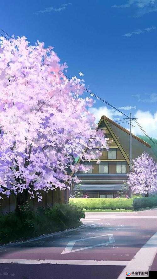 浪漫樱花动漫在线观看：一场樱花树下的浪漫之旅
