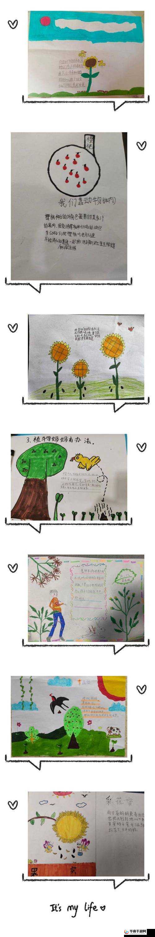 成长的秘免费——探寻成长背后的奥秘