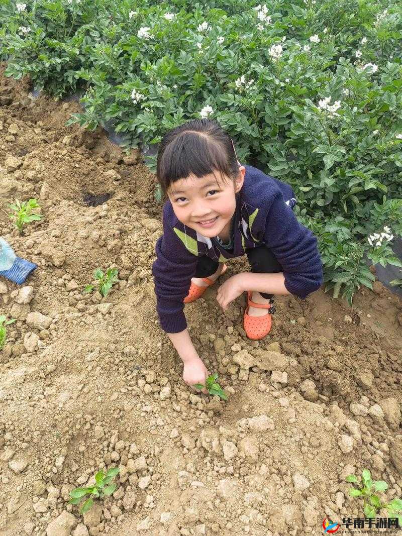 田间欢的欢乐田园生活趣事多