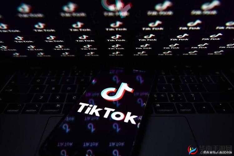 tiktok29.2.4：探索创意与乐趣的短视频平台