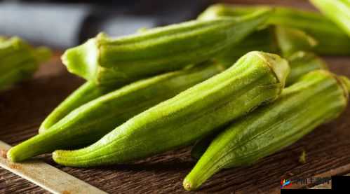 秋葵视频草莓视频丝瓜视频榴莲视频网站秋：相关视频资源介绍与分享