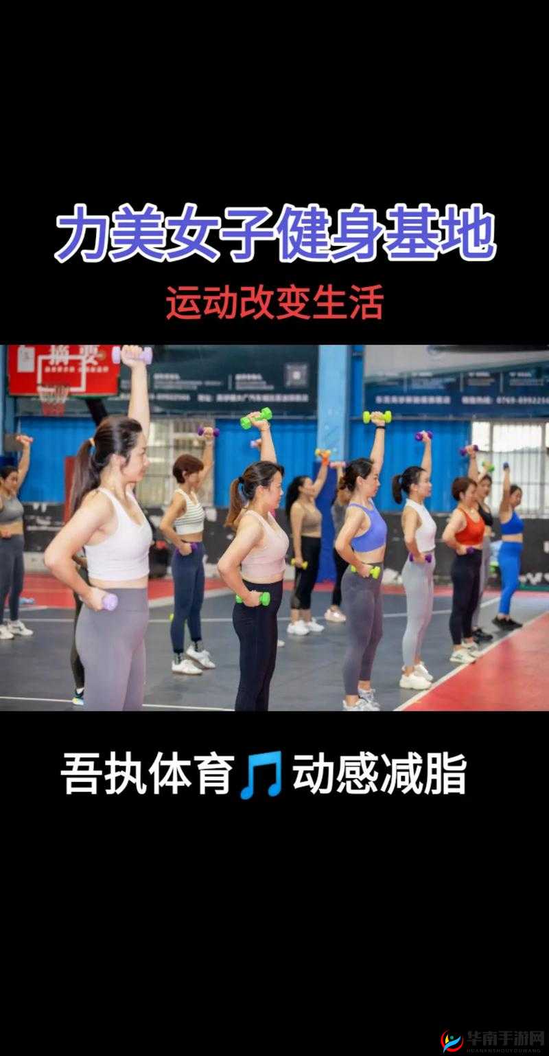 百合做运动视频教程：专业指导助您高效健身塑形