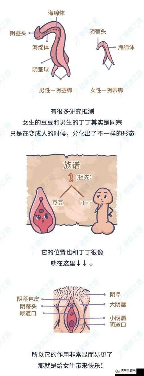 美女的鸡巴 91 究竟隐藏着怎样的秘密呢