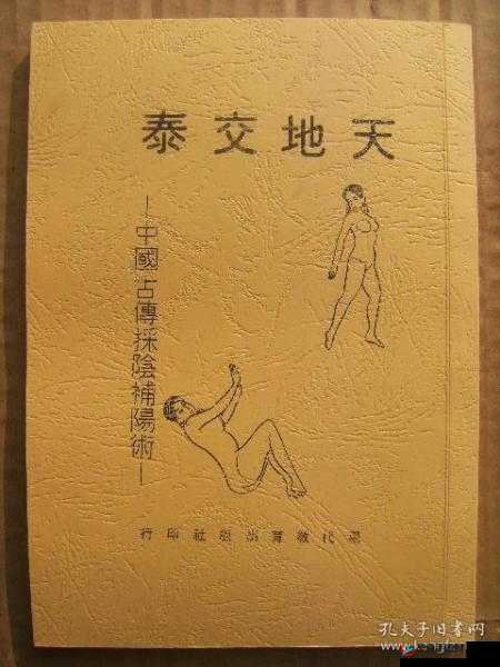 交接之势三十法及其在实际应用中的作用和意义探讨