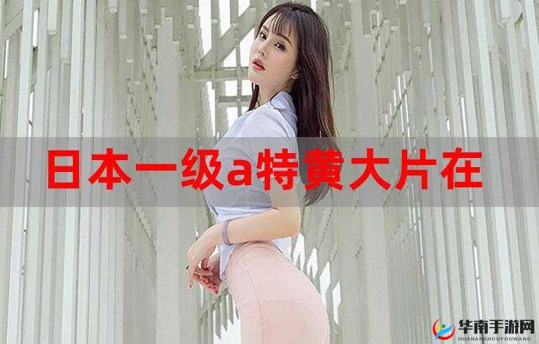 一级片在线观看：精彩无限，尽在眼前