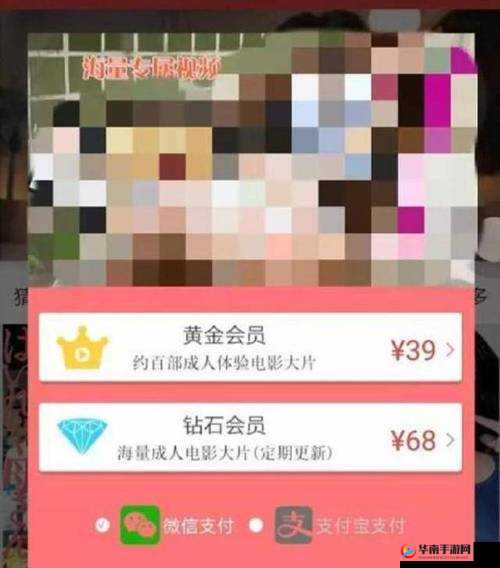 所有黄 p 网站品赏网：带你领略别样精彩