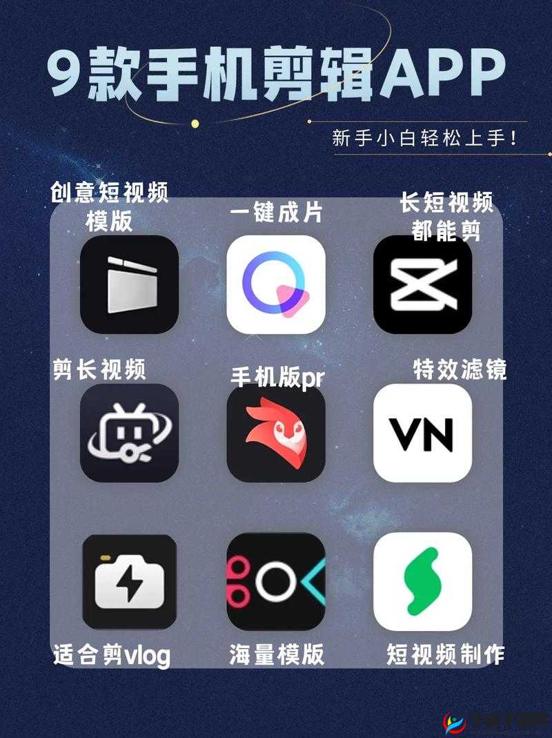 Videoleap 官方正版：专业视频编辑软件的不二之选