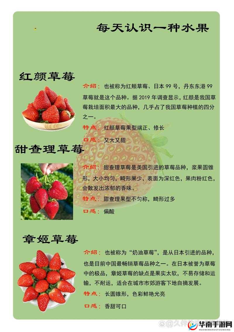 精产国品一二三产区草莓的独特魅力与品质呈现