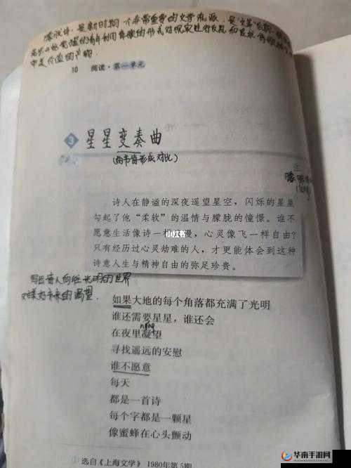 沦为教具的小诗：那被遗忘的诗意角落