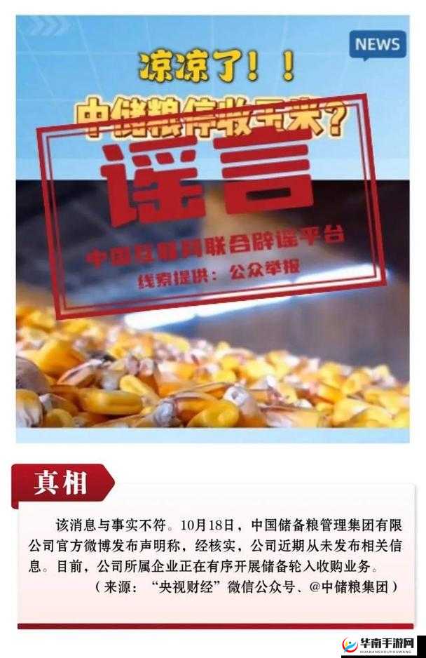 中国槡BBBB槡槡BBBBB：探索其背后的深刻内涵与独特价值