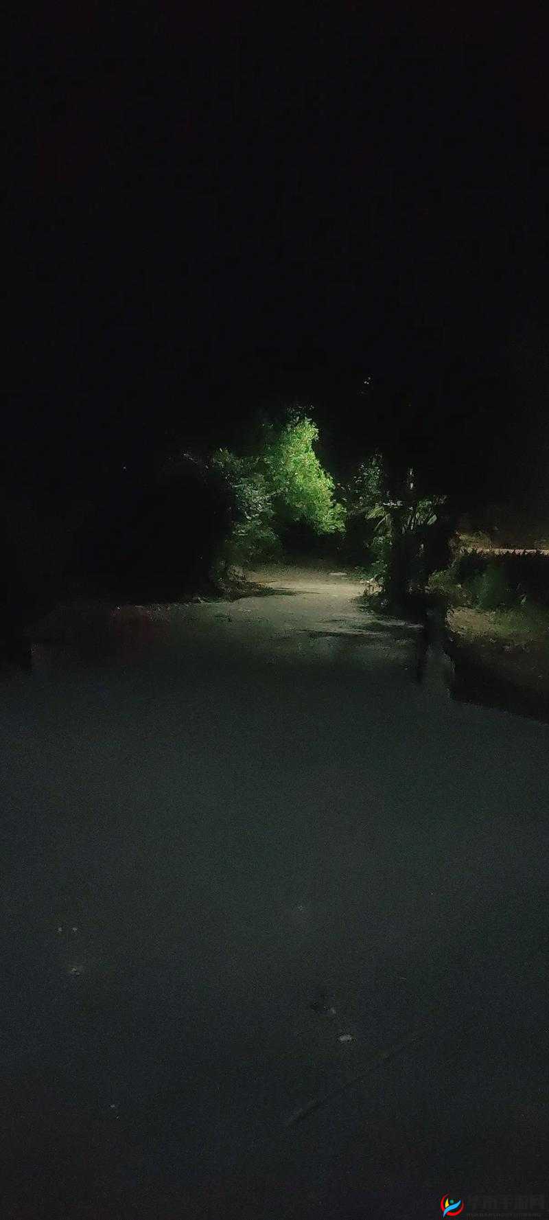 晚上父母房间有黏水声是怎么了：探寻背后的原因和可能情况
