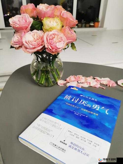 writeas 走麻绳：挑战极限与勇气的独特体验