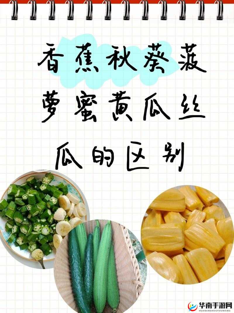 秋葵茄子丝瓜香蕉榴莲 2024 之奇妙探索