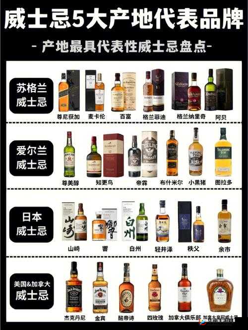 一线产区与二线产区知名品牌对比分析及特点探讨