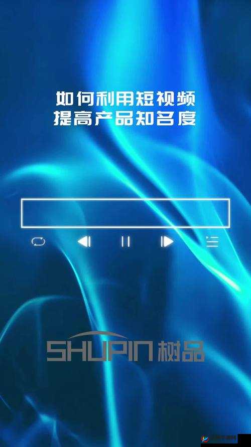 seo 短视频网页入口网站：提供一站式短视频解决方案