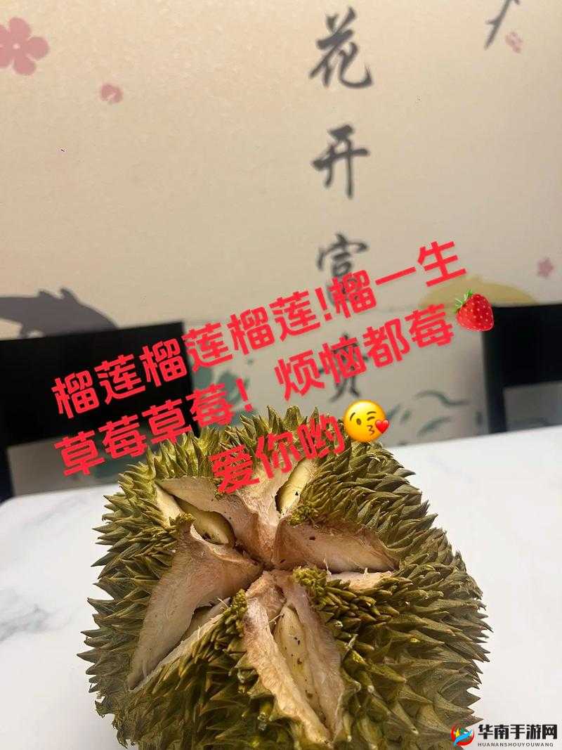 水果派对：榴莲草莓芒果菠萝香蕉幸福宝的甜蜜冒险