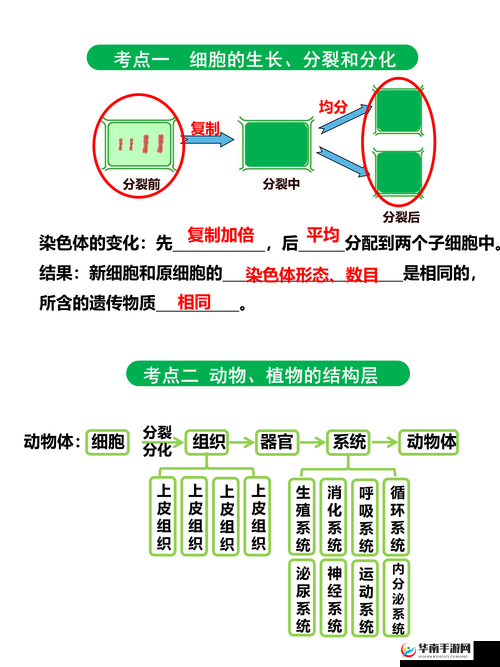 一只手刚好可以握住算大还是小之尺寸大小的深入探讨与分析