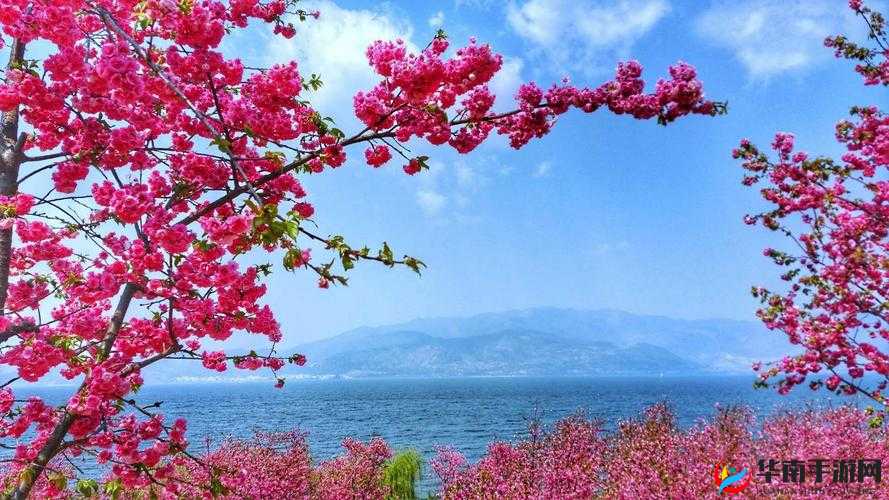 伊人春色通知进行上架：春色满园，精彩不断