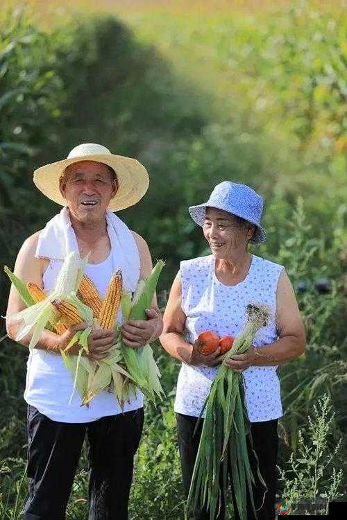 老少配精彩高清视频：独特魅力与别样风情