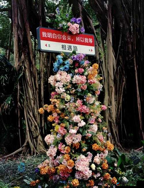 爱情岛非洲品质免费路线-带你开启浪漫梦幻之旅