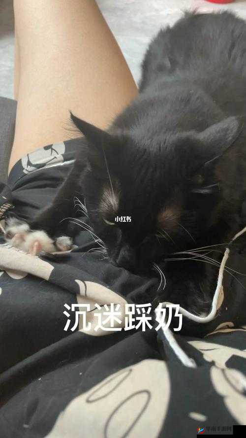 嗟嗟嗟嗟嗟嗟嗟好痛：这无法承受的疼痛何时休